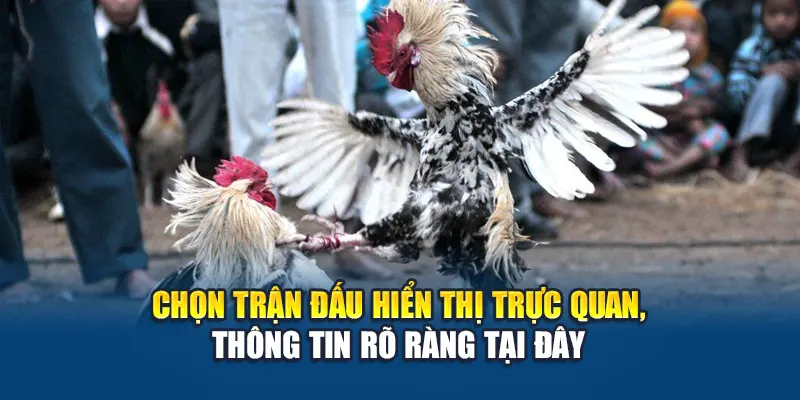 Chọn trận đấu hiển thị trực quan, thông tin rõ ràng tại đây