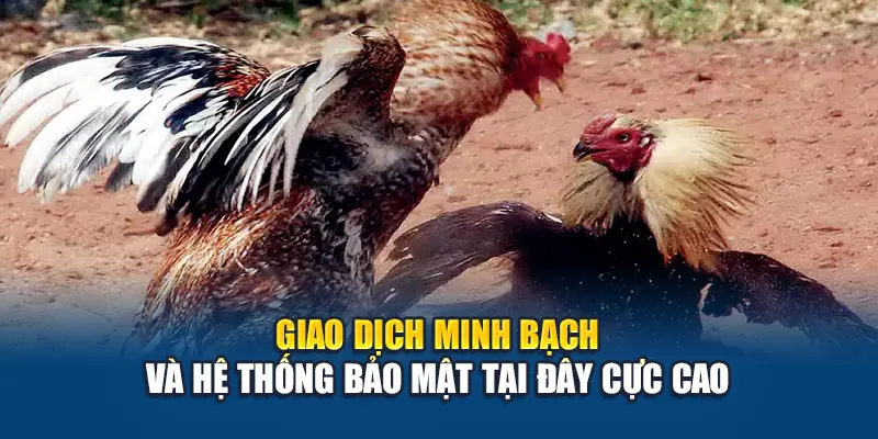 Giao dịch minh bạch và hệ thống bảo mật tại đây cực cao
