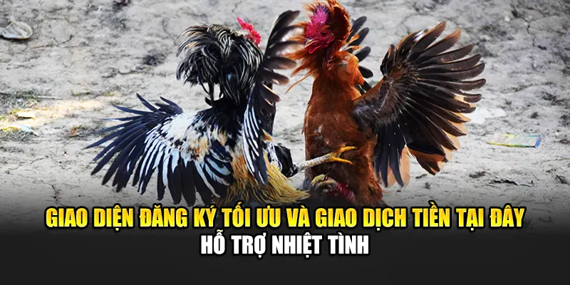 Giao diện đăng ký tối ưu và giao dịch tiền tại đây hỗ trợ nhiệt tình
