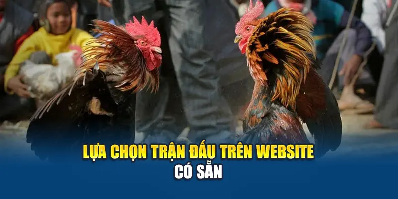 Lựa chọn trận đấu trên website có sẵn