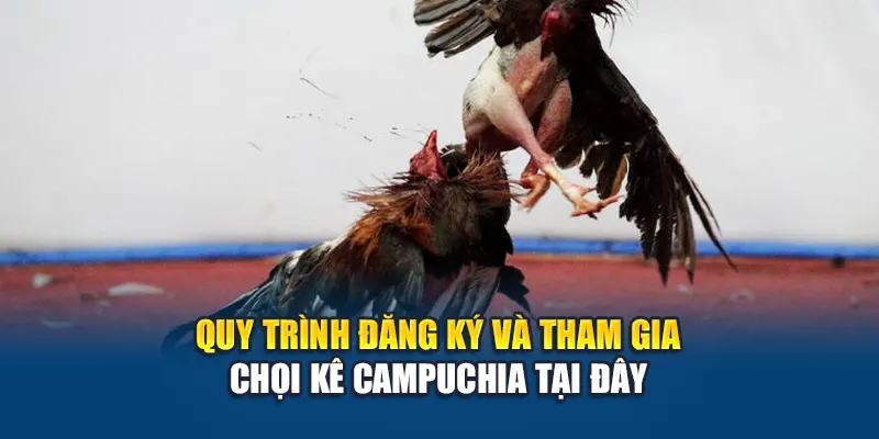 Quy trình đăng ký và tham gia chọi kê Campuchia tại đây